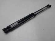 Gasdruckfedern Set Hinten 8200051750 Renault MEGANE II BERLINA 5P Authentique 82 CV / 60 KW