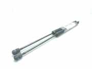 Gasdruckfedern Set Hinten 4L0827552C Audi Q7 (4LB) SUV 4.2 FSI V8 32V (BAR)