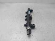 Einspritzdüsen Düsenstock A6640700295 SsangYong Kyron SUV 2.0 M 200 Xdi 16V 4x4 (D20DT(OM664.950))