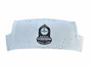 Motorhaube 6510000QAF Nissan Interstar (X70) Ch.Cab/Pick-up 2.5 dCi 16V 120 (G9U-720)