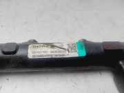 Einspritzdüsen Düsenstock A6640700295 SsangYong Kyron SUV 2.0 M 200 Xdi 16V 4x4 (D20DT(OM664.950))