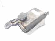 Ausgleichbehälter - - 254302B100 Hyundai Santa Fe II SUV 2.2 CRDi 16V 4x2 (D4EB)