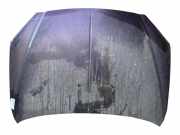 Motorhaube 6101109112 SsangYong Kyron SUV 2.0 M 200 Xdi 16V 4x4 (D20DT(OM664.950))