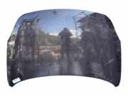 Motorhaube 664003J010 Hyundai iX55 SUV 3.0 CRDI V6 24V (D6EA)