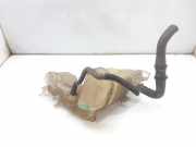 Ausgleichbehälter - - 217100014R Renault Laguna III (BT) Schrägheck 5-drs 2.0 dCi 16V 130 (M9R-744)