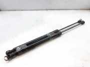 Gasdruckfedern Set Hinten 5N0827550D Volkswagen Tiguan (5N1/2) SUV 2.0 TDI 16V 4Motion (CFFB) CFFB