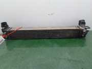 Ladeluftk?hler 144968116R Renault Sc?nic III (JZ) Gro?raumlimousine 1.5 dCi 110 (K9K-J836)