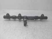 Einspritzdüsen Düsenstock A6650700295 SsangYong Rodius Großraumlimousine 2.7 270 Xdi 20V 4x2 (M665.925(Euro 4))