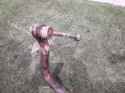 Stabilisatorstange Vorne 0046427723 Fiat Seicento (187) Schrägheck 1.1 S,SX,Sporting,Hobby,Young (187.A.1000)