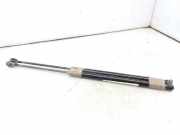 Gasdruckfedern Set Hinten 817813E020 Kia Sorento I (JC) SUV 2.4 16V (G4JSG)