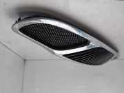 Grill 962722891 Daewoo / Chevrolet DAEWOO NUBIRA BERLINA SX Plus 103 CV / 76 KW
