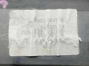 Dritte Bremsleuchte 9646904580 Citroën CITROEN BERLINA LX 88 CV / 65 KW