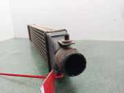 Ladeluftkühler 51783791 Fiat Bravo (198A) Schrägheck 1.9 JTD Multijet (192.A.8000)