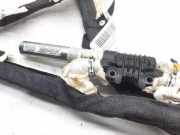 Vorhang Airbag Links VOOR 517017120 Fiat Grande Punto (199) Schr?gheck 1.4 (350.A.1000)