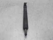 Kraftstoff-Injector A6640170021 SsangYong Kyron SUV 2.0 M 200 Xdi 16V 4x4 (D20DT(OM664.950))