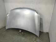 Motorhaube 6QE823031B Volkswagen (9N1) Trendline 64 CV / 47 KW