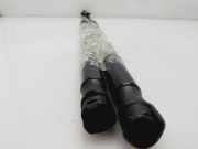 Gasdruckfedern Set Hinten 5FF827550B Cupra Formentor SUV 2.5 VZ5 16V 4Drive (DNWB) DNWB