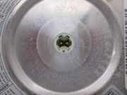 Airbag Lenkrad 1M0880201D Seat (1M2) Stella 101 CV / 74 KW