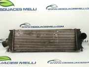 Ladeluftkühler 8200411160C Opel VIVARO FURGÓN/Kombi (07.2006 =>) Kombi 2.7t L1H1 114 CV / 84 KW
