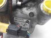 Klima Pumpe 9806599380 Citroën C-Elysee (DD) Limousine 1.6 Blue Hdi 100 (DV6FD(BHY))