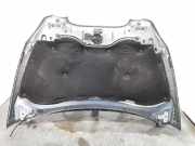 Motorhaube 5P0823031C Seat Toledo (5P2) Großraumlimousine 2.0 TDI 16V (BKD)