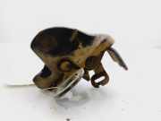 Heckschloss 8200497822 Renault Kangoo (KC) Gro?raumlimousine 1.9 D 65 (F8Q-632)