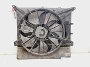 Kühlerventilator 30665985 Volvo XC90 I SUV 2.4 D5 20V (D5244T)