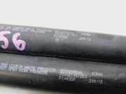 Gasdruckfedern Set Hinten 8200299546 Renault Clio III (BR/CR) Schrägheck 1.5 dCi 75 FAP (K9K-770)