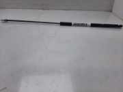 Gasdruckfedern Set Hinten 128066220N Seat Ibiza I (021A) Schrägheck 1.2 L,LE,GL,GLX (021.A.1000)