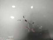 Stoßstange Hinten 521590F905 Toyota Corolla Verso (R10/11) Großraumlimousine 2.2 D-4D 16V (2AD-FTV)