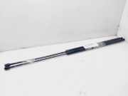 Gasdruckfedern Set Hinten 735364074 Fiat Doblo (223A/119) Großraumlimousine 1.3 JTD 16V Multijet (188.A.9000)