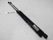 Gasdruckfedern Set Hinten BM51A406A10AE Ford Focus 3 Limousine 1.0 Ti-VCT EcoBoost 12V 125 (M1DD)