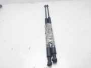 Gasdruckfedern Set Hinten 9629618980 Citroën Xsara Coupé (N0) Schrägheck 1.9 TD X (XUD9TE(DHY))