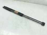 Gasdruckfedern Set Hinten 0051812267 Fiat Bravo (198A) Schrägheck 1.9 JTD Multijet (192.A.8000)