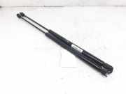 Gasdruckfedern Set Hinten 1689801264 Mercedes-Benz A (W168) Schrägheck 1.7 A-170 CDI 16V (OM668.942)