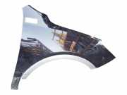 Kotflügel Rechts Vorne 663203J200 Hyundai iX55 SUV 3.0 CRDI V6 24V (D6EA)