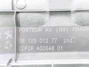 Türverkleidung Rechts Vorne 9812901277 Citroën CITROEN Shine 82 CV / 60 KW