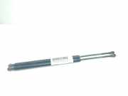 Gasdruckfedern Set Hinten 51248402405 BMW X5 (E53) SUV 3.0d 24V (M57-D30(306D1))