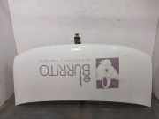 Motorhaube 7751469067 Renault Master II (JD) Bus 2.5 D (S8U-770)