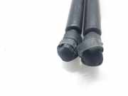 Gasdruckfedern Set Hinten 8D0827552 Audi A3 (8L1) Schrägheck 1.9 TDI 110 (AHF)