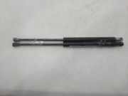 Gasdruckfeder Set Vorne 50519970 Alfa Romeo Giulietta (940) Schrägheck 1.75 TBI 16V QV (940.A.1000)
