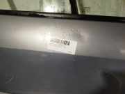 Tür Rechts Vorne 801002354R Renault Scénic II (JM) Großraumlimousine 1.5 dCi 105 (K9K-732)