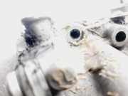 Zylinderkopf 06M103404AF Audi S5 Sportback (F5A/F5F) Liftback 3.0 TFSI V6 24V (CWGD)