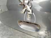 Hintertür 8701S5 Peugeot 307 BERLINA (S2) X-Line 90 CV / 66 KW