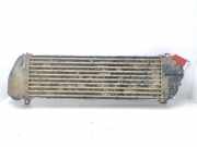 Ladeluftk?hler 1035048 Mercedes-Benz ML I (163) SUV 400 4.0 CDI V8 32V (OM628.963)