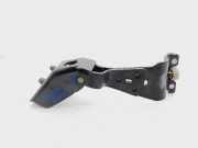 Scharniere AM51U26800AA Ford Titanium 125 CV / 92 KW
