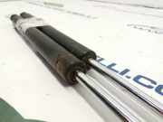 Gasdruckfedern Set Hinten 7700942256B Renault Clio II (BB/CB) Schrägheck 1.9 D (F8Q-630)