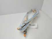 Vorhang Airbag Links VOOR 5JA880741 Skoda RAPID Ambition 105 CV / 77 KW