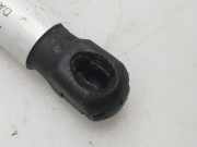 Gasdruckfeder Set Vorne 654712943R Dacia Duster (HS) SUV 1.5 dCi (K9K-892)