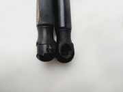 Gasdruckfedern Set Hinten 1Z5837550 Skoda Octavia (1Z3) Liftback 1.9 TDI (BXE)